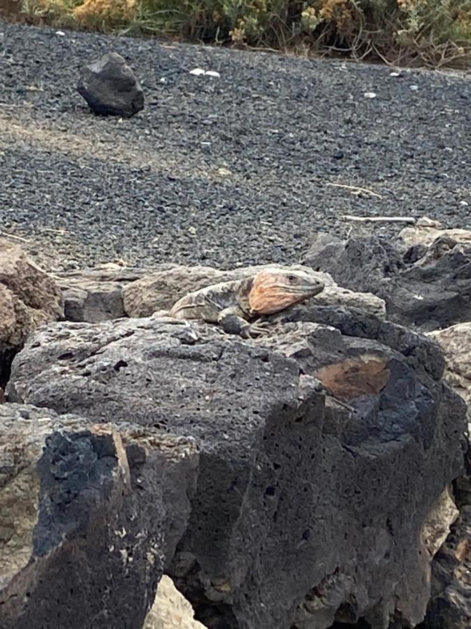 Mar Y Playa De Martin, 2B Daire Las Palmas de Gran Canaria Dış mekan fotoğraf